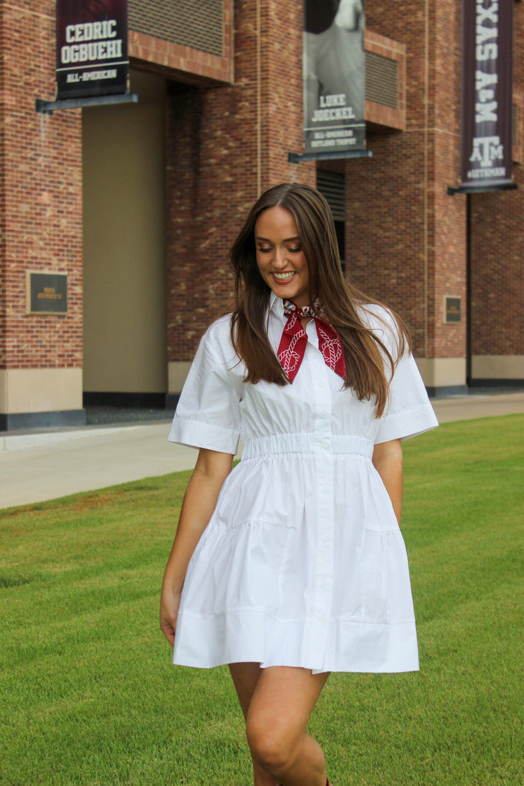 Whitney White Collared Dress