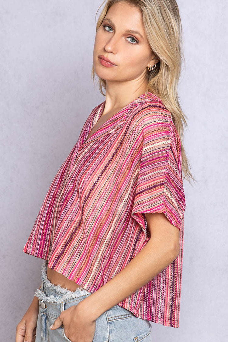 Savannah Striped Crop Top