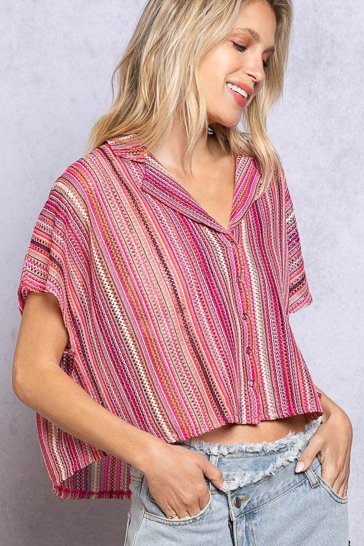 Savannah Striped Crop Top