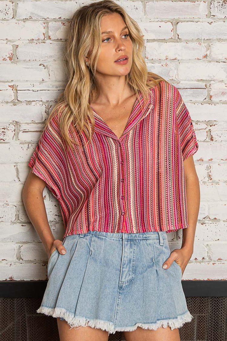 Savannah Striped Crop Top